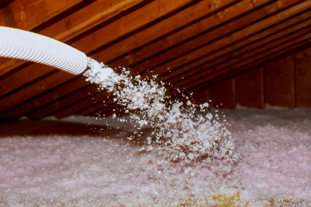 Best Garage Insulation Installation  in Horse Shoe, NC