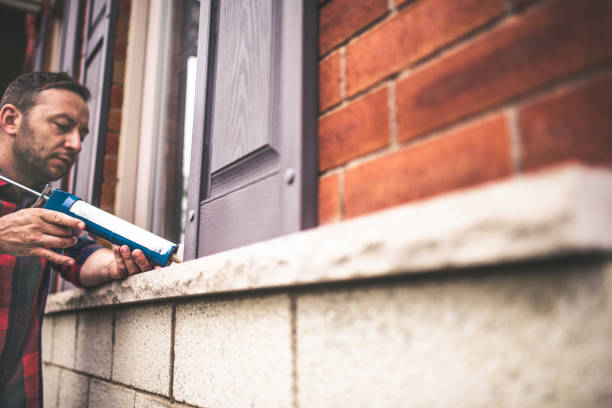 Best Insulation Replacement Services  in Horse Shoe, NC