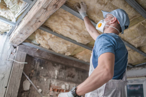 Best Commercial Insulation Contractor  in Horse Shoe, NC