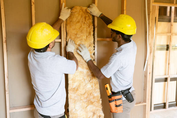 Professional Insulation Contractor in Horse Shoe, NC