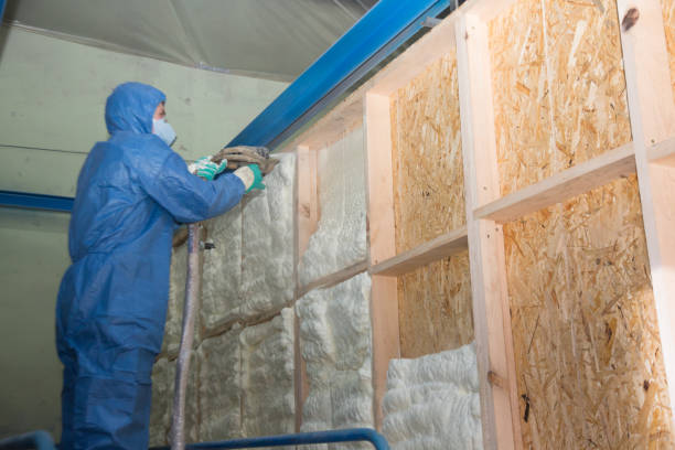 Best Insulation Inspection Services  in Horse Shoe, NC