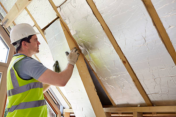 Best Crawl Space Insulation  in Horse Shoe, NC