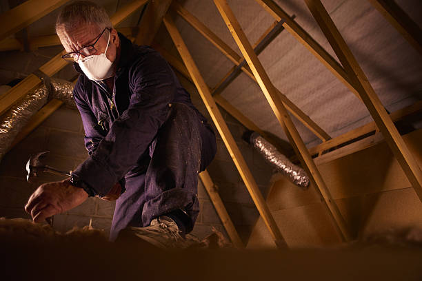 Best Insulation Inspection Services  in Horse Shoe, NC