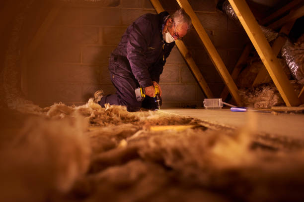 Best Insulation Contractors for Homes  in Horse Shoe, NC